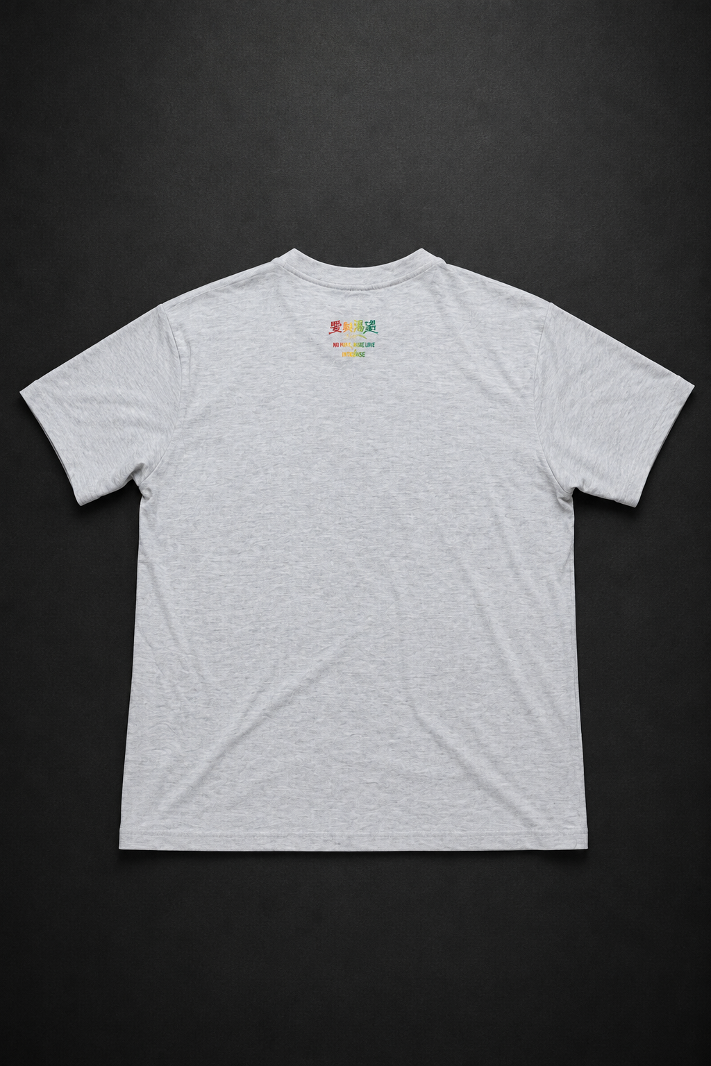 No Music No Life Intense Heather Grey T-Shirt Back